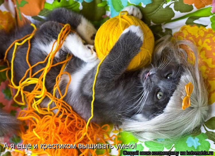 Котоматрица: А я еще и крестиком вышивать умею!