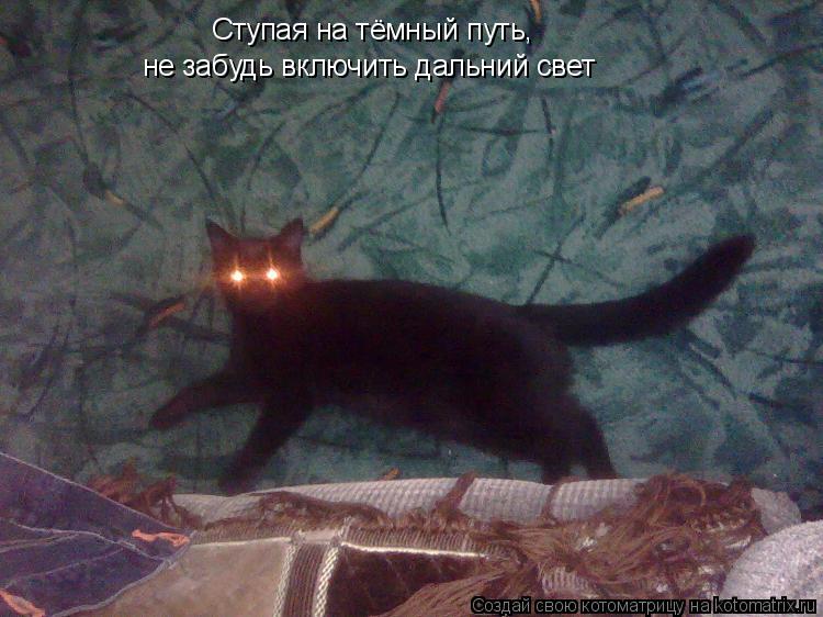 Ступая на тёмный путь, не забудь включить дальний свет... Котоматрица: Ступая на тёмный путь, не забудь включить дальний свет
