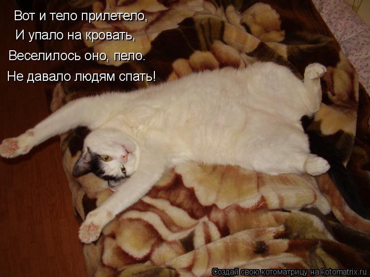 Котоматрица: Вот и тело прилетело, И упало на кровать, Веселилось оно, пело. Не давало людям спать!