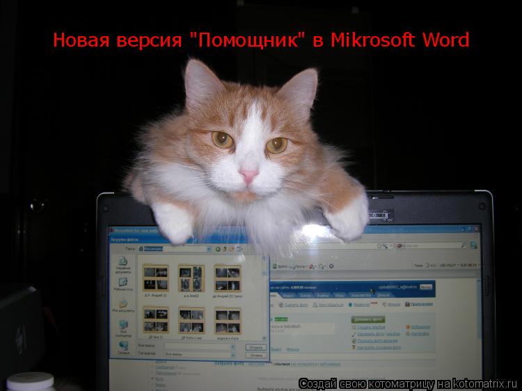 Новая версия "Помощник" в Mikrosoft Word... Котоматрица: Новая версия "Помощник" в Mikrosoft Word