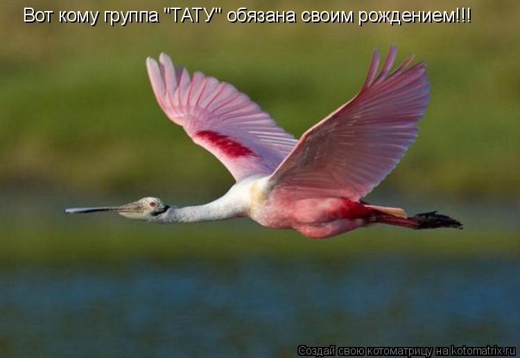 Вот кому группа "ТАТУ" обязана своим рождением!!!... Котоматрица: Вот кому группа "ТАТУ" обязана своим рождением!!!