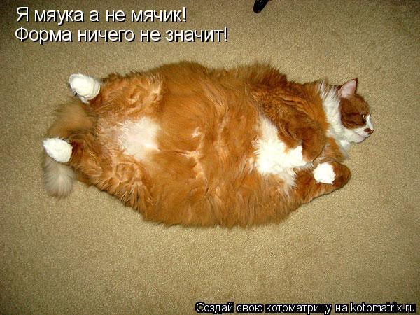 Я мяука а не мячик! Форма ничего не значит!... Котоматрица: Я мяука а не мячик! Форма ничего не значит!
