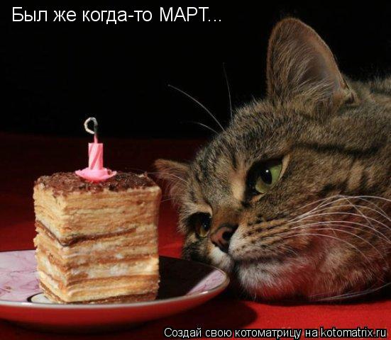 Котоматрица: Был же когда-то МАРТ...