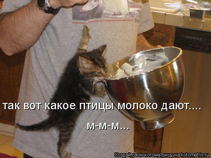 так вот какое птицы молоко дают.... м-м-м...... Котоматрица: так вот какое птицы молоко дают.... м-м-м...