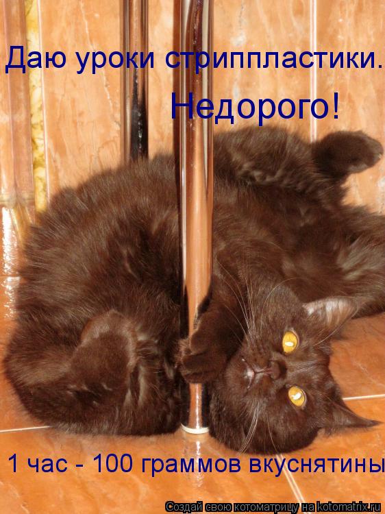 Котоматрица: Даю уроки стриппластики.  Недорого! 1 час - 100 граммов вкуснятины!