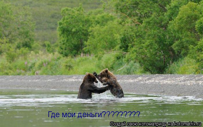 Котоматрица: Где мои деньги?????????