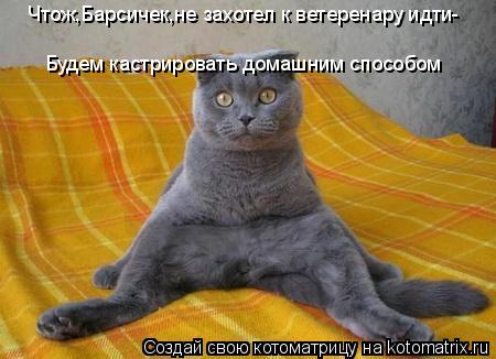 Котоматрица: Чтож,Барсичек,не захотел к ветеренару идти- Будем кастрировать домашним способом