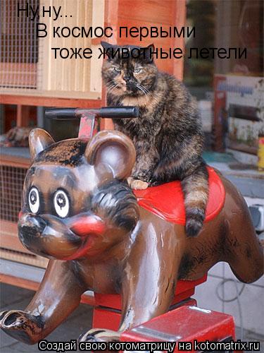 Котоматрица: Ну,ну...  В космос первыми  тоже животные летели