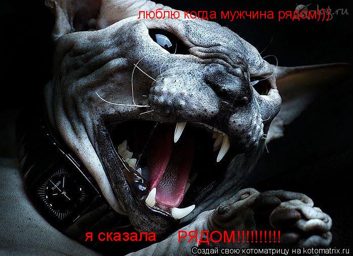 Котоматрица: люблю когда мужчина рядом))) я сказала РЯДОМ!!!!!!!!!!