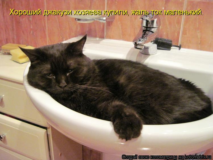 Котоматрица: Хороший джакузи хозяева купили, жаль ток маленький.