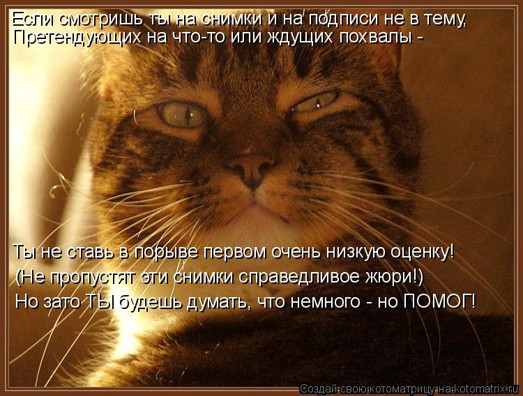 Если смотришь ты на снимки и на подписи не в тему, Претендующих на что-то или ждущих похвалы - Ты не... Котоматрица: Если смотришь ты на снимки и на подписи не в тему, Претендующих на что-то или ждущих похвалы - Ты не ставь в порыве первом очень низкую оценк