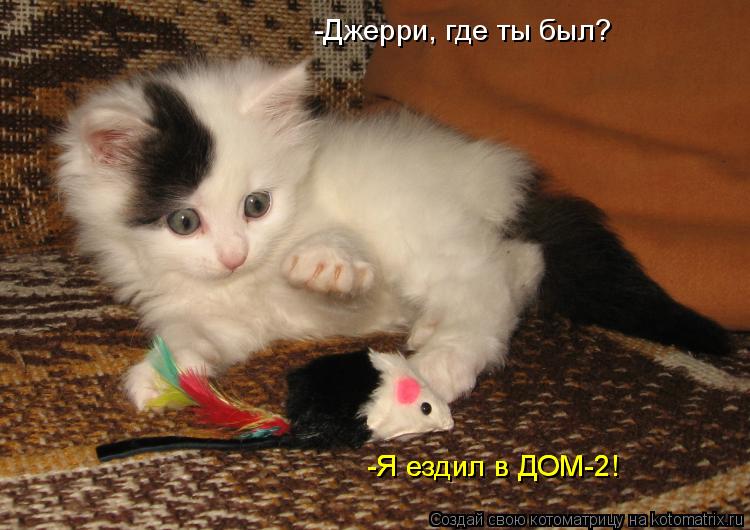 Котоматрица: -Джерри, где ты был? -Я ездил в ДОМ-2! -Я ездил в ДОМ-2!
