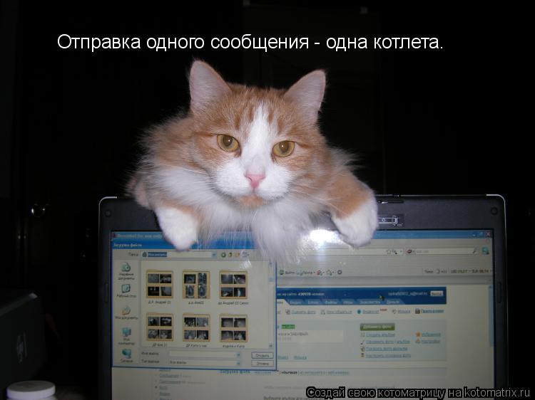 Отправка одного сообщения - одна котлета.... Котоматрица: Отправка одного сообщения - одна котлета.