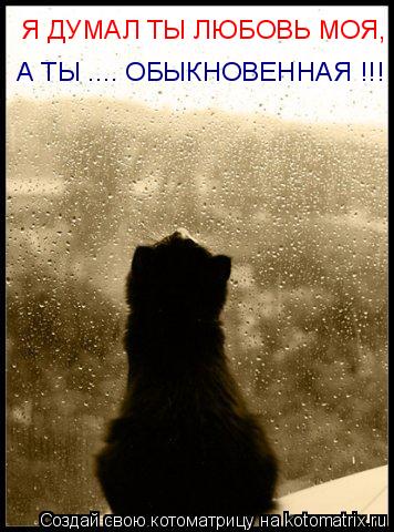 Я ДУМАЛ ТЫ ЛЮБОВЬ МОЯ, А ТЫ .... ОБЫКНОВЕННАЯ !!!... Котоматрица: Я ДУМАЛ ТЫ ЛЮБОВЬ МОЯ, А ТЫ .... ОБЫКНОВЕННАЯ !!!
