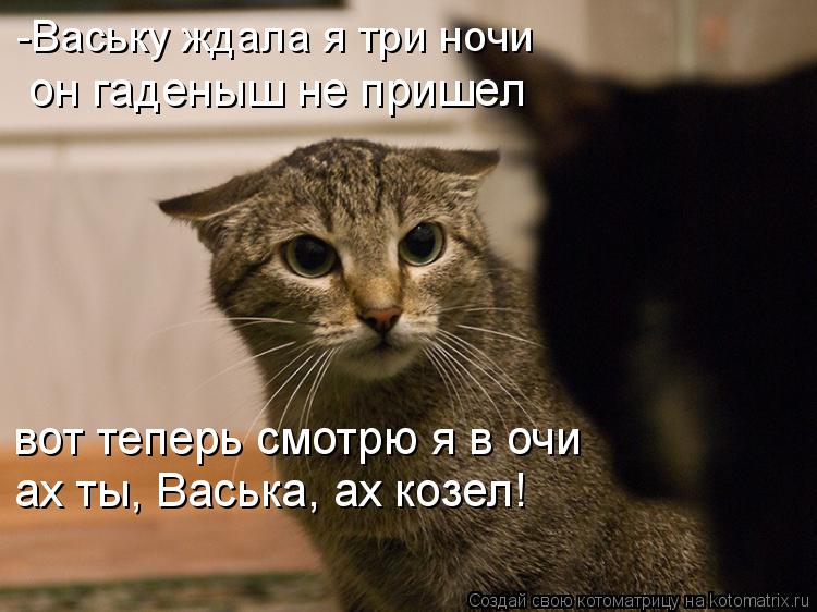 -Ваську ждала я три ночи он гаденыш не пришел вот теперь смотрю я в очи ах ты, Васька, ах козел!... Котоматрица: -Ваську ждала я три ночи он гаденыш не пришел вот теперь смотрю я в очи ах ты, Васька, ах козел!