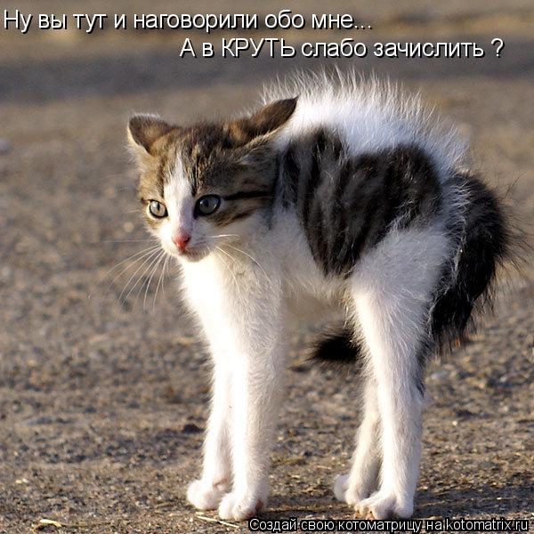 Ну вы тут и наговорили обо мне... А в КРУТЬ слабо зачислить ?... Котоматрица: Ну вы тут и наговорили обо мне... А в КРУТЬ слабо зачислить ?