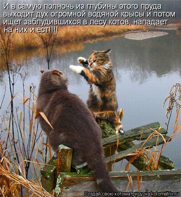 И в самую полночь из глубины этого пруда выходит дух огромной водяной крысы и потом ищет заблудившихс... Котоматрица: И в самую полночь из глубины этого пруда выходит дух огромной водяной крысы и потом ищет заблудившихся в лесу котов, нападает на них и ест!!!