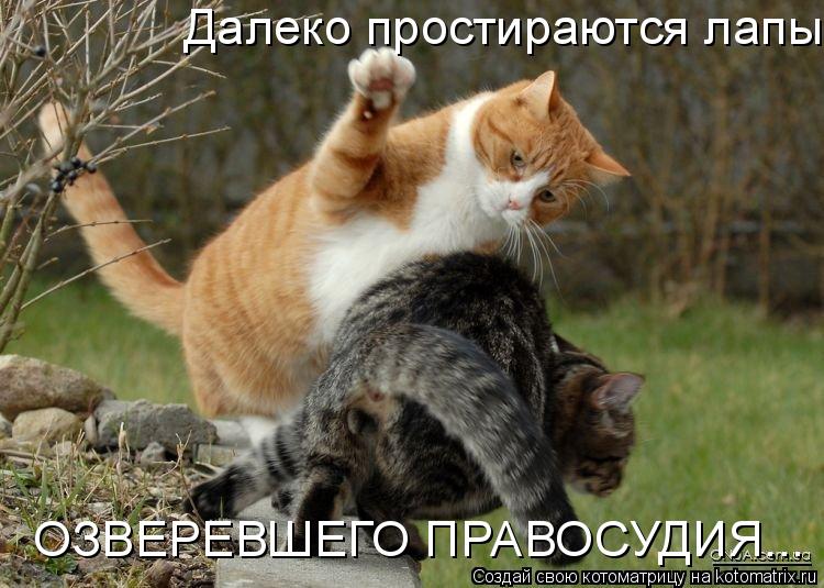 Далеко простираются лапы ОЗВЕРЕВШЕГО ПРАВОСУДИЯ...... Котоматрица: Далеко простираются лапы ОЗВЕРЕВШЕГО ПРАВОСУДИЯ...
