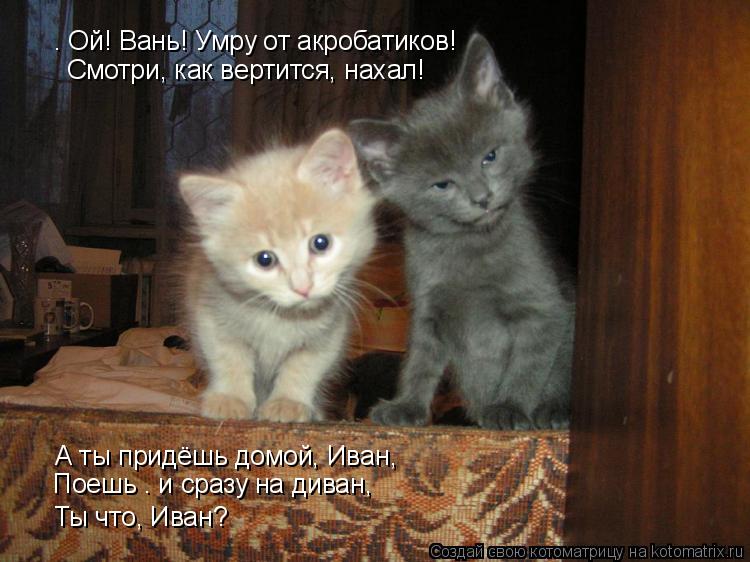 — Ой! Вань! Умру от акробатиков! Смотри, как вертится, нахал! А ты придёшь домой, Иван, Поешь — и сра... Котоматрица: — Ой! Вань! Умру от акробатиков! Смотри, как вертится, нахал! А ты придёшь домой, Иван, Поешь — и сразу на диван, Ты что, Иван?