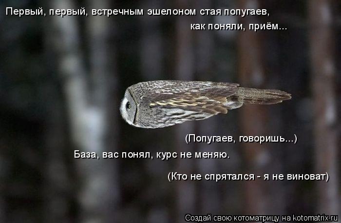 Первый, первый, встречным эшелоном стая попугаев, как поняли, приём... (Попугаев, говоришь...) База,... Котоматрица: Первый, первый, встречным эшелоном стая попугаев, как поняли, приём... (Попугаев, говоришь...) База, вас понял, курс не меняю. (Кто не спрятался