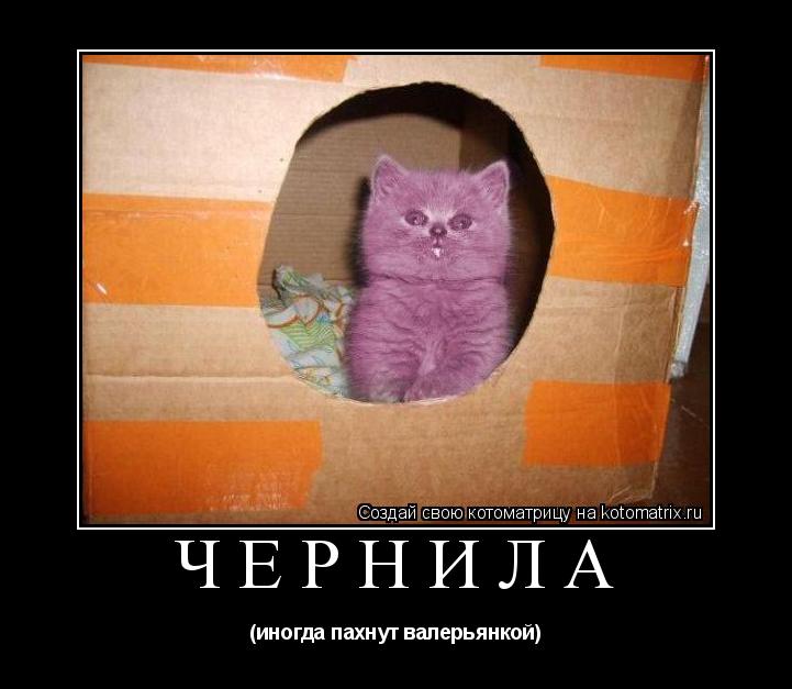 Котоматрица: ЧЕРНИЛА (иногда пахнут валерьянкой)