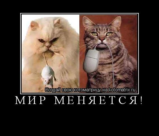 Котоматрица: Мир меняется! 