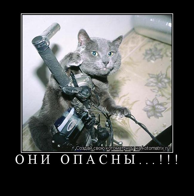 Котоматрица: Они опасны...!!! 