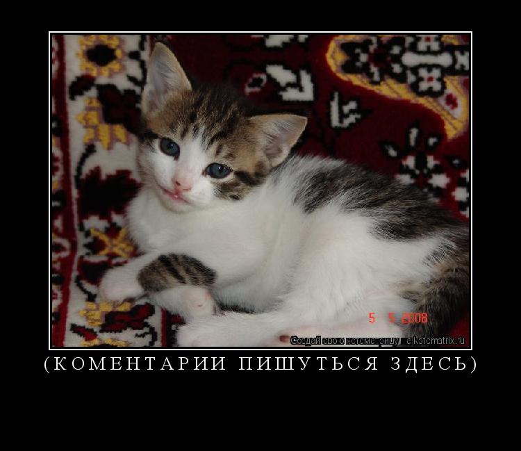 Котоматрица: (коментарии пишуться здесь) 
