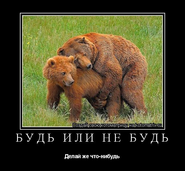 Котоматрица: Будь или не будь  Делай же что-нибудь