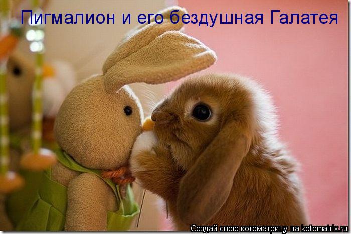 Пигмалион и его бездушная Галатея... Котоматрица: Пигмалион и его бездушная Галатея