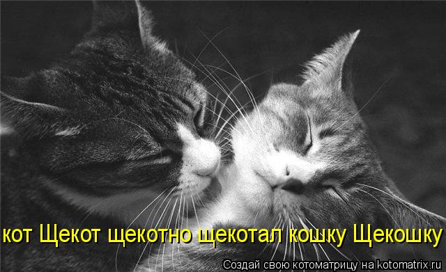 кот Щекот щекотно щекотал кошку Щекошку... Котоматрица: кот Щекот щекотно щекотал кошку Щекошку