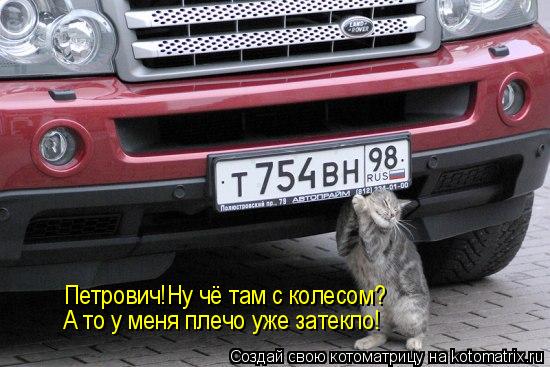 Петрович!Ну чё там с колесом? А то у меня плечо уже затекло!... Котоматрица: Петрович!Ну чё там с колесом? А то у меня плечо уже затекло!