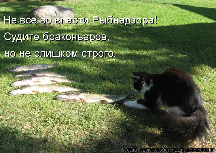 Котоматрица: Не все во власти Рыбнадзора! Судите браконьеров, но не слишком строго.