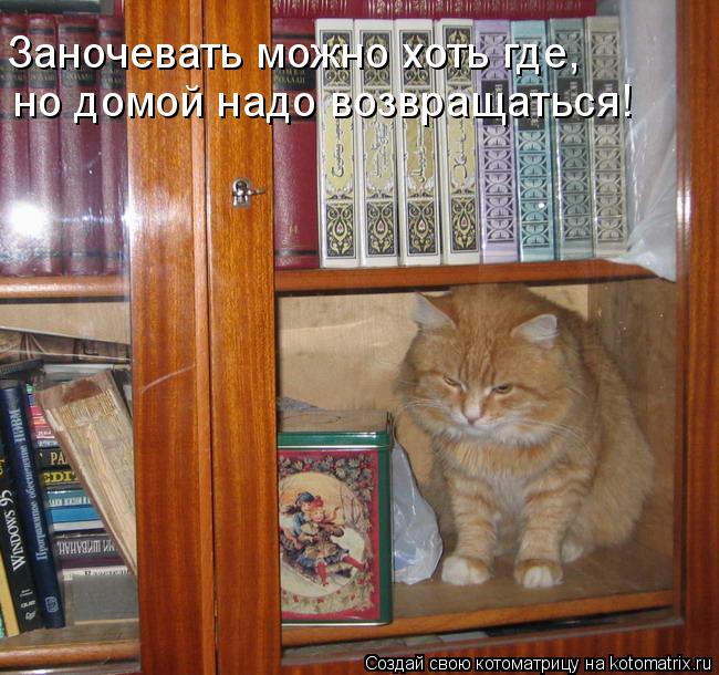 Котоматрица: Заночевать можно хоть где, но домой надо возвращаться!