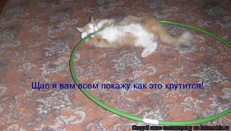 Котоматрица: Щас я вам всем покажу как это крутится!