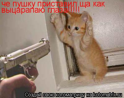 Котоматрица: че пушку приставил ща как выцарапаю глаза!!!!!