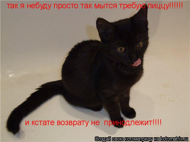 Котоматрица: так я небуду просто так мытся требую пиццу!!!!!! и кстате возврату не  принодлежит!!!!