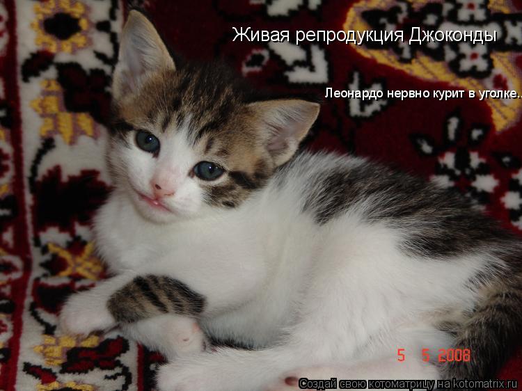 Котоматрица: Живая репродукция Джоконды Леонардо нервно курит в уголке...