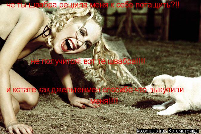 Котоматрица: че ты швабра решила меня к себе потащить?!!  не получится! вот те швабра!!!! и кстате как джельтенмен спосибо что выкупили меня!!!!