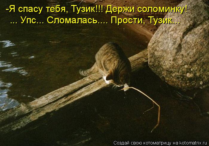 -Я спасу тебя, Тузик!!! Держи соломинку! ... Упс... Сломалась.... Прости, Тузик...... Котоматрица: -Я спасу тебя, Тузик!!! Держи соломинку! ... Упс... Сломалась.... Прости, Тузик...