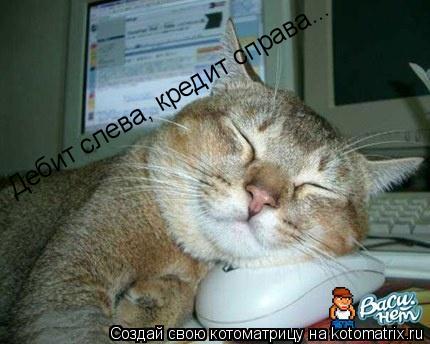 Котоматрица: Дебит слева, кредит справа...
