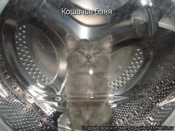 Котоматрица: Кошачья баня.