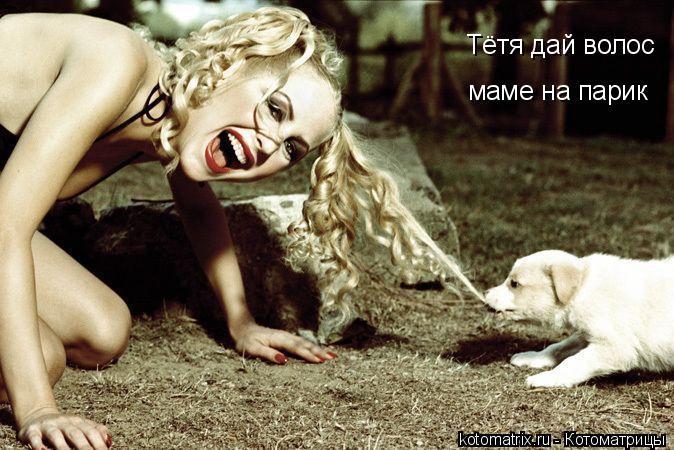 Котоматрица: Тётя дай волос маме на парик