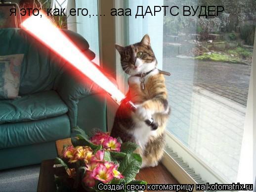 Котоматрица: я это, как его,.... ааа ДАРТС ВУДЕР