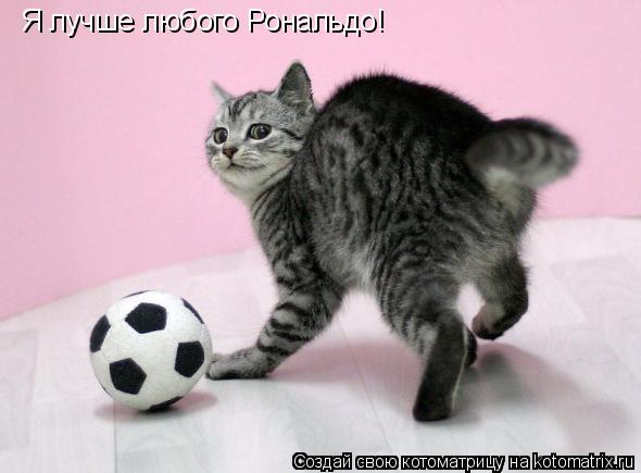 Котоматрица: Я лучше любого Рональдо!
