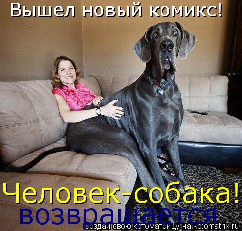 Котоматрица: Вышел новый комикс! Человек-собака! возвращается