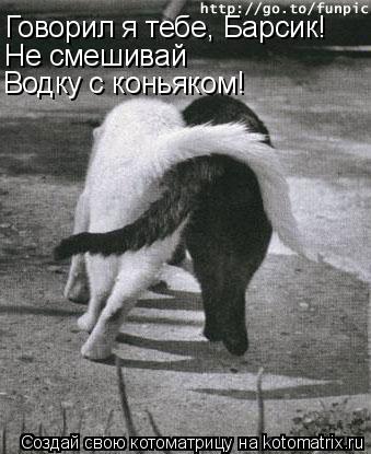 Котоматрица: Говорил я тебе, Барсик! Не смешивай  Водку с коньяком!