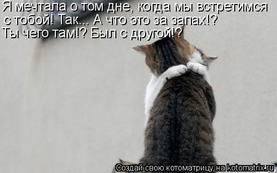 Котоматрица: Я мечтала о том дне, когда мы встретимся с тобой! Так... А что это за запах!? Ты чего там!? Был с другой!?