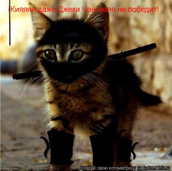 Котоматрица: -Кияяяя,даже Джеки Чан меня не победит!