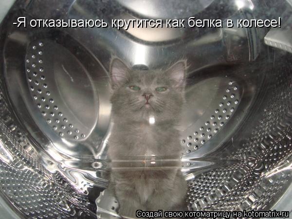 -Я отказываюсь крутится как белка в колесе!... Котоматрица: -Я отказываюсь крутится как белка в колесе!